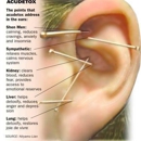 Whole Body Health - Alternative Medicine & Health Practitioners