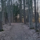 Asbury Woods - Tourist Information & Attractions