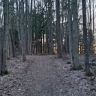 Asbury Woods Nature Center