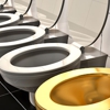 WaterHouse Toilet Repair gallery