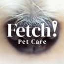 Fetch! Pet Care Orlando - Pet Boarding & Kennels