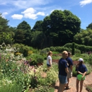 Bridge Gardens - Botanical Gardens