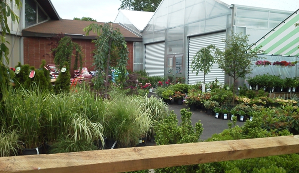 Treeland Garden Center & Nursery - Bridgeport, CT