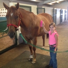 Diamond P Equestrian Center, LLC
