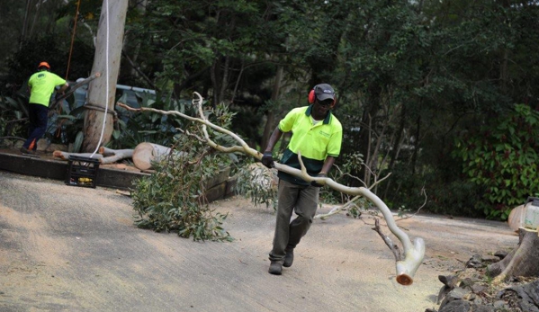A Accurate Tree Services - Joyner, QLD