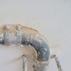 Sam & Sons Drain Service gallery