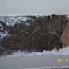 Annie Oakley Pest Control gallery