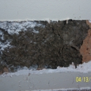 Annie  Oakley Pest Control - Termite Control