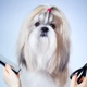 Cindy's Pet Grooming