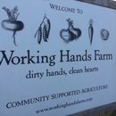 Working Hands Farm - Farms