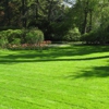 Baxters Lawn Services gallery