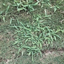 Legacy Turf Farms - Farms