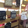 Dixie's Paws & Claws Corp. gallery