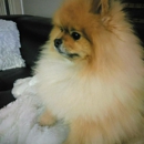 The Dog House - Pet Grooming