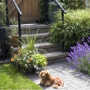 Plants Unlimited - Landscape Designers & Consultants