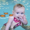 Little Fishes Swim School gallery