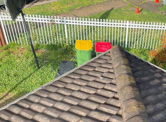 Kiwi Roof Restoration - Smithfield, NSW