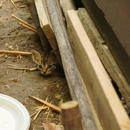 BugOut Pest Control - Pest Control Equipment & Supplies