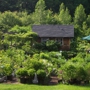 Catskill Native Nursery