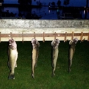 Thumbs Up Charter Services - Fishing Charters & Parties