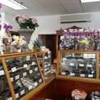 Alps Sweet Shop