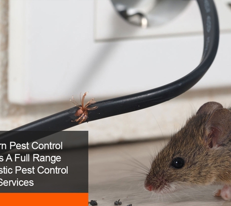 Capricorn Pest Control - Exmouth, WA. Capricorn Pest Control  Provides A Full Range  Of Domestic Pest Control  Services
