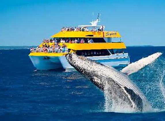 Spirit of Hervey Bay - Urangan, QLD