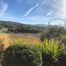 Cougar Vineyard & Winery - Wineries