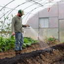 Banta Landscaping Corp - Landscape Contractors