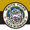 White Tiger School Of Taekwon-Do gallery