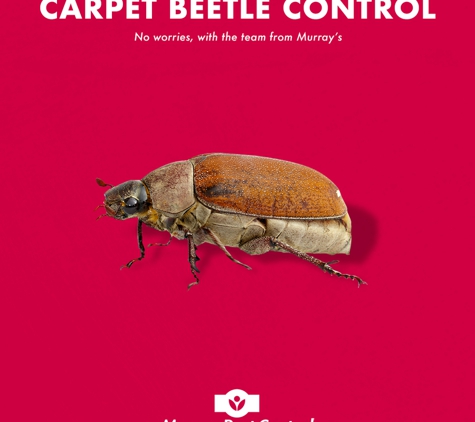 Murray Pest Control - Stepney, SA