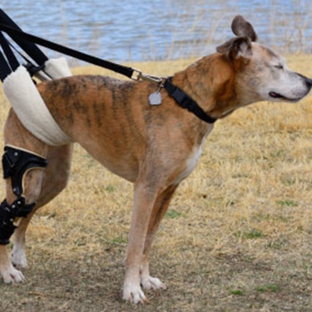 Melton Veterinary Clinic - Melton, VIC