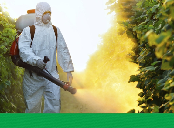 Enviro Pest Management - Launceston, TAS. Guaranteed Best Prices