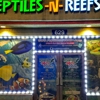 Reptiles N Reefs gallery