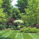Melvin's Lawn & Landscape - Landscaping & Lawn Services