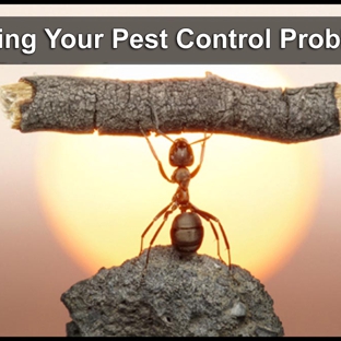 Armageddon Pest Control - Kambah, ACT. Developing the most effective treatment programs while being environmentally responsible.