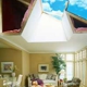 Innovative Skylights & Attics