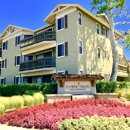 Raintree Flower Fields - Apartment Finder & Rental Service