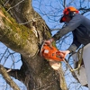 Budget Tree Care gallery