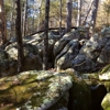 Cinnamon Valley gallery