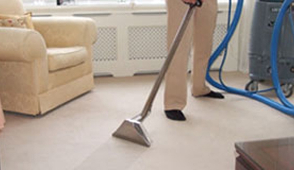 Dragonfly Cleaning - Beecroft, NSW