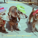 Mt. Yonah Animal Hospital - Pet Services
