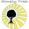 Simply Trees gallery