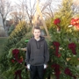 South Boston Christmas tree and wreaths  (BROOKSIES)