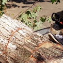 Arbor Care Specialists - Tree Service