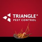 Triangle Pest Control