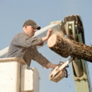 Walser Tree Service - Tree Service