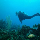 Anchor Bay Scuba Inc - Divers