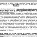 Lauradale's Siberians - Pet Breeders