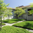Evergreen Terrace Apartments - Apartments